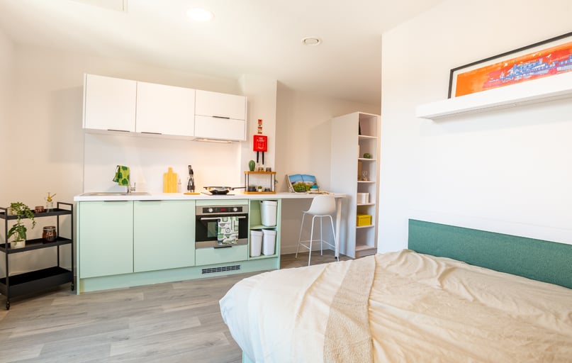 Luxury Studio, Promenade Student Living, 5-8 London Road, The Level, Brighton - Image 1